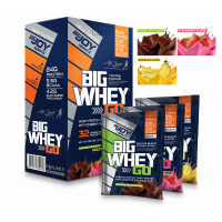 BigJoy Big Whey Go Protein 1040 Gr